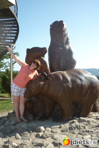 3 ����: 2012