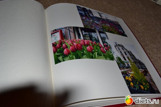 5 ����: ����������