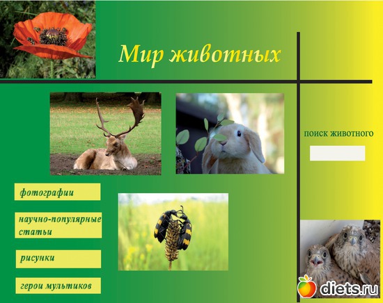 12 ����: ��� ������. �����������