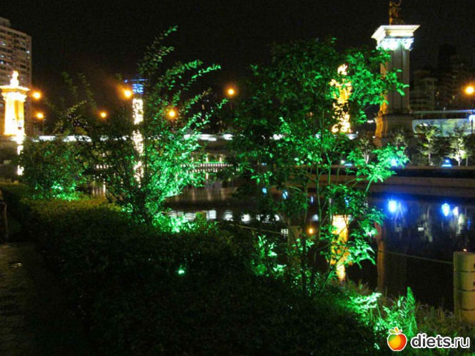 14 ����: ������