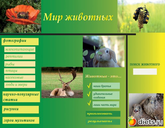 13 ����: ��� ������. �����������