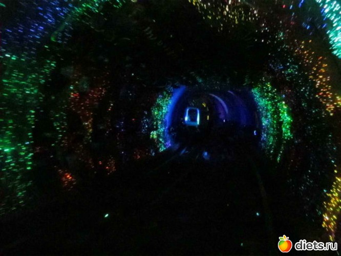 39 ����: ������