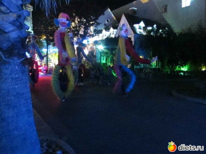 51 ����: ������