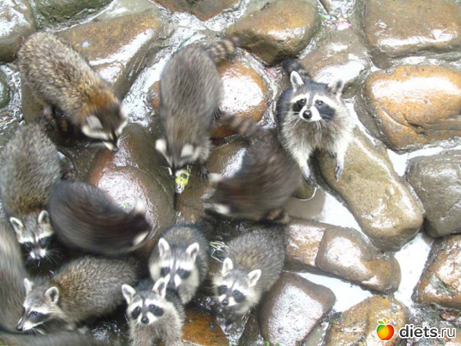 61 фото: Шанхай