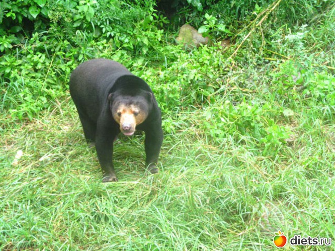 69 ����: ������