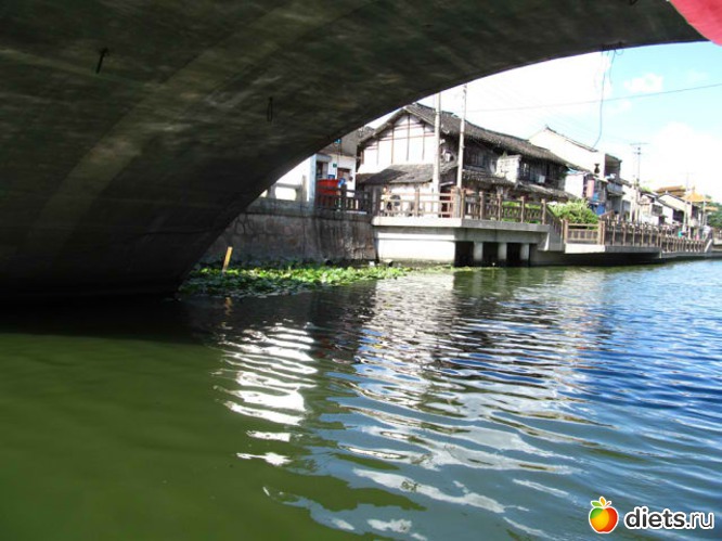 87 ����: ������