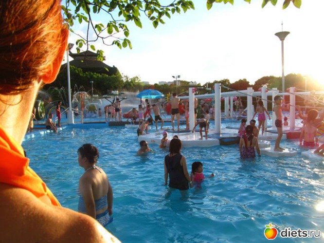 97 ����: ������