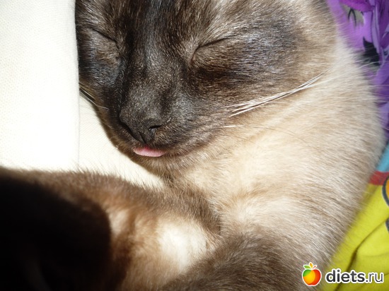 Сладкий сон, альбом: Лизка