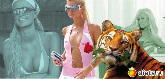 3 ����: ��� ������. �������