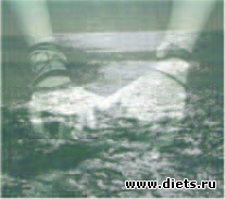 ��� ������. �������