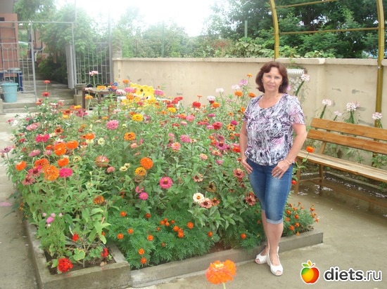 2 ����: ������ 2012