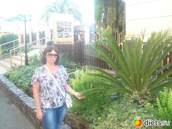 3 ����: ������ 2012