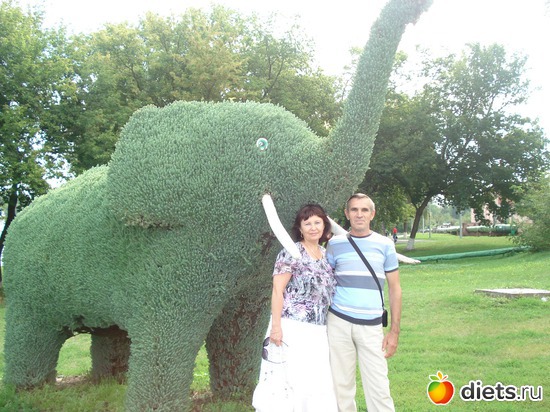 10 ����: ������ 2012