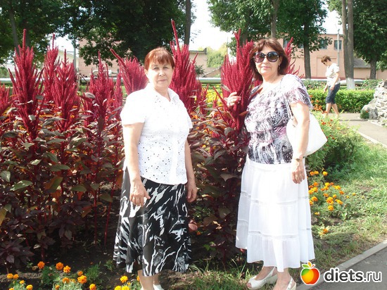 13 ����: ������ 2012