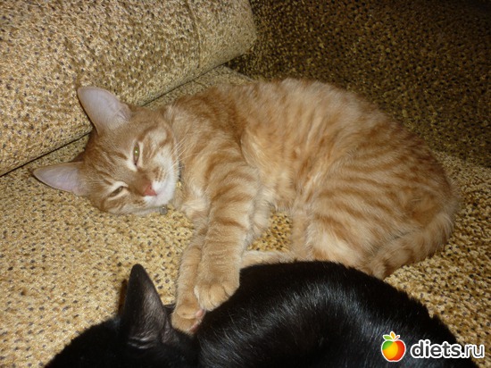 Дашка и Ржавый, альбом: просто фотки