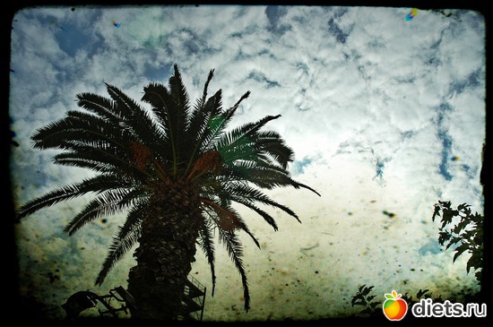 12 ����: ���� 2012