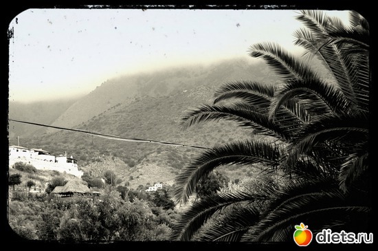 13 ����: ���� 2012