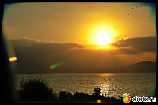 16 ����: ���� 2012