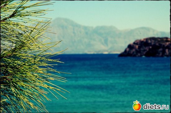 17 ����: ���� 2012