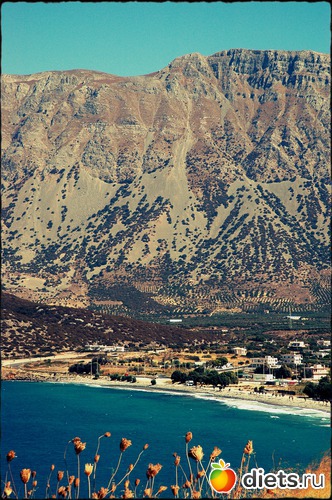 21 ����: ���� 2012