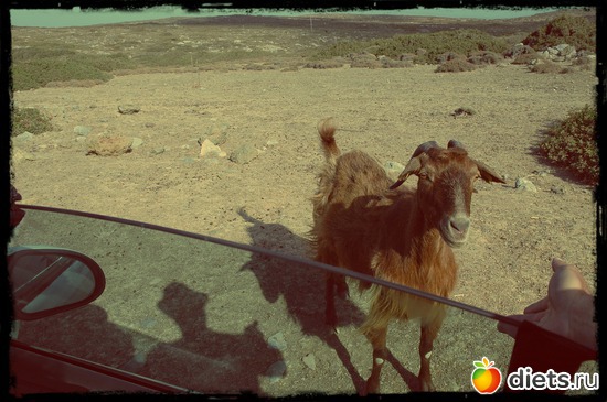 26 ����: ���� 2012