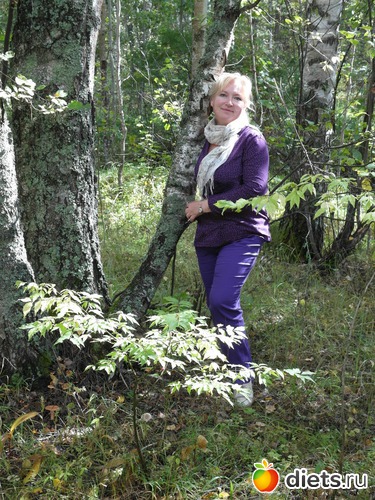 5 ����: �������� ���