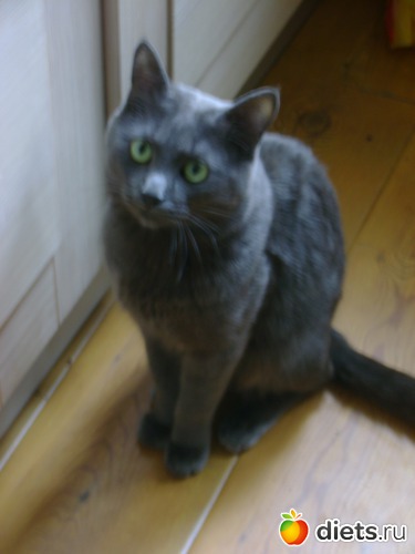 1 ����: �����