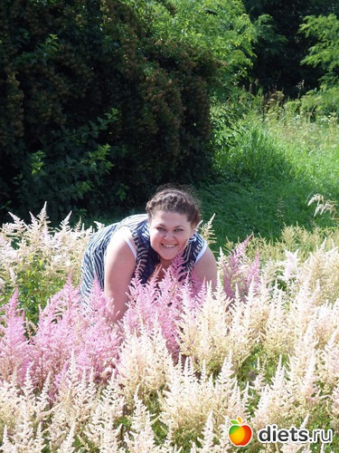 3 ����: ��� ����