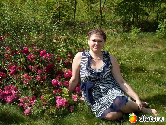 5 ����: ��� ����