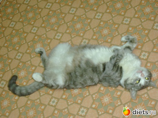 ����� ��������, ������: �����