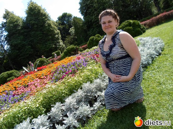 6 ����: ��� ����