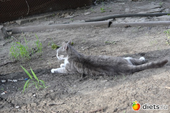 6 ����: �����