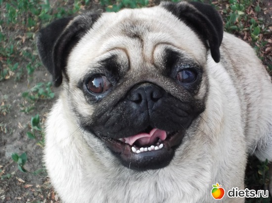 ��, ��� � ���� ������?, ������: �����