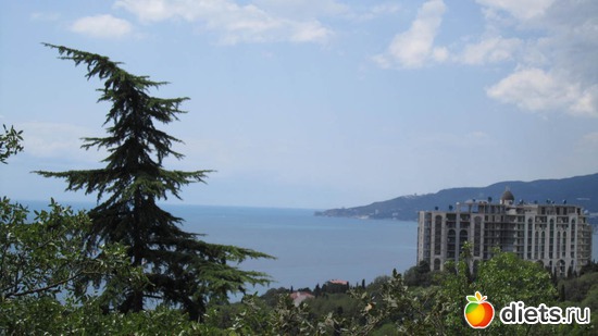 ��� �� ����, ������: ���� 2012�