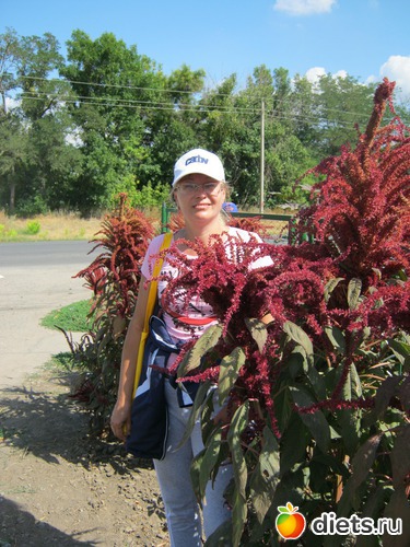 1 фото: Азовское море