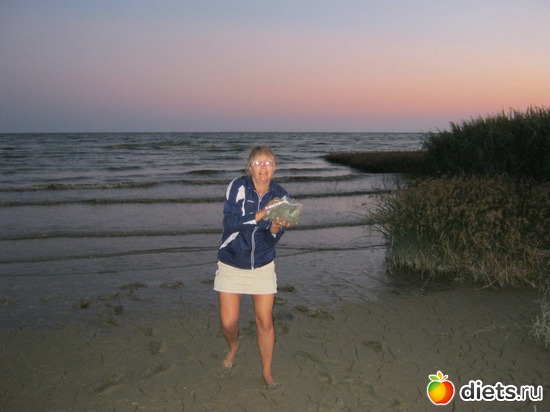 3 ����: �������� ����