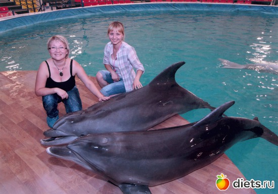 5 ����: ������