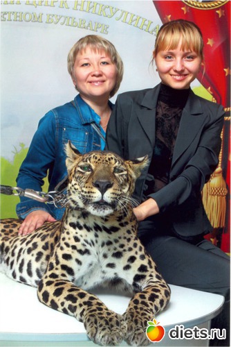 6 ����: ������