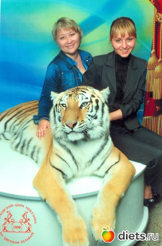 7 ����: ������