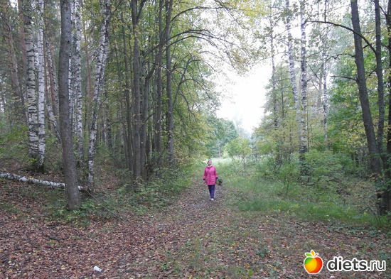 6 ����: �������� ���