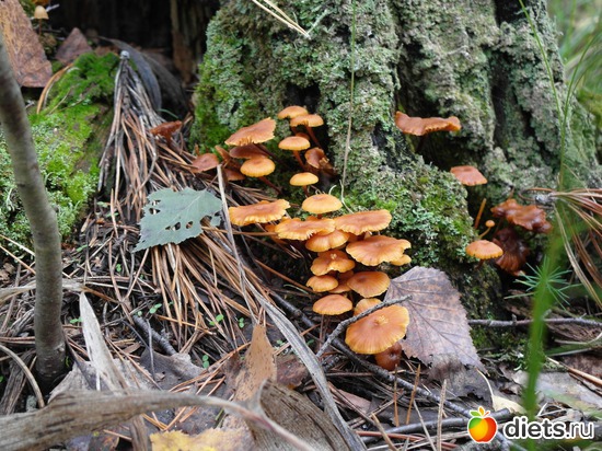 10 ����: �������� ���