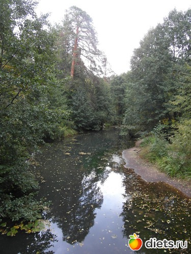 11 ����: �������� ���