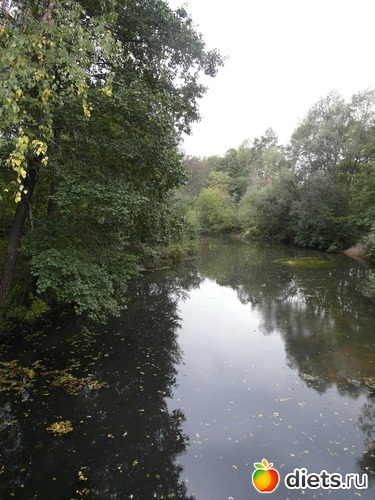 12 ����: �������� ���