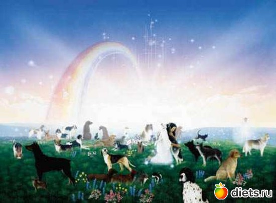 17 фото: ОТКРЫТКИ