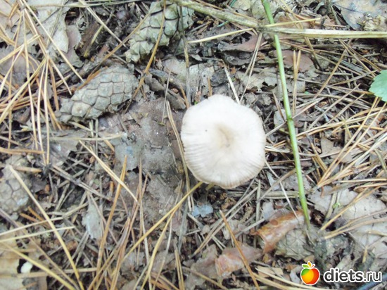 1 ����: ������� ����� 2012