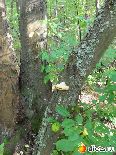 6 ����: ������� ����� 2012