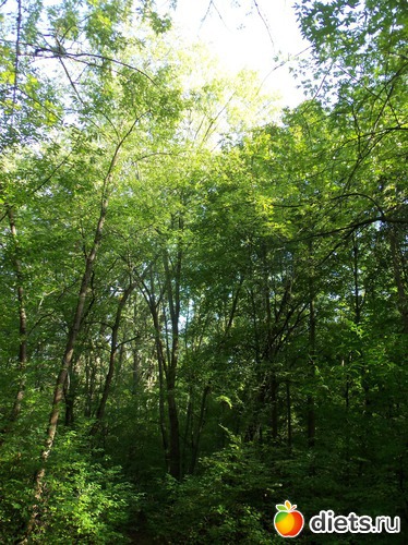 7 ����: ������� ����� 2012