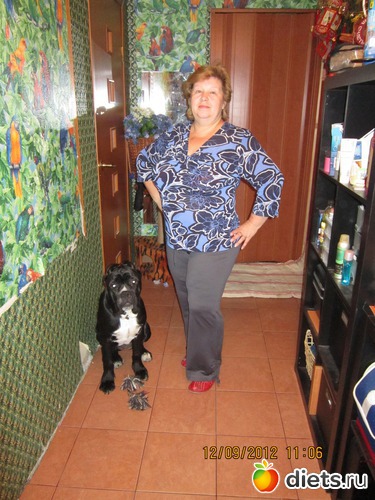 ����� 8 ����  ����� ��������� ����.���� 6 �� � 20�� � �����., ������: ��������,�����,�����.