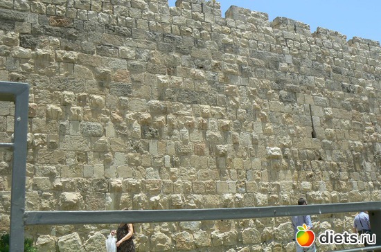 6 ����: �������