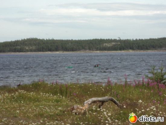 август 2012, альбом: мой город